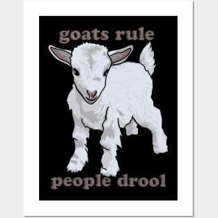 Goats Rule People Drool Posters and Art